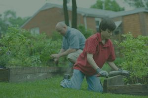 Manteniemiento de jardines | Elimina las malas hierbas